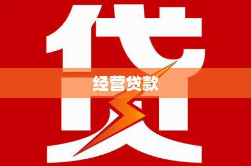 资源经营贷款