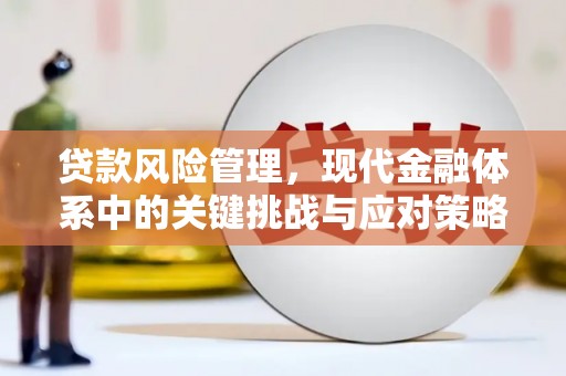 资源贷款风险管理，现代金融体系中的关键挑战与应对策略