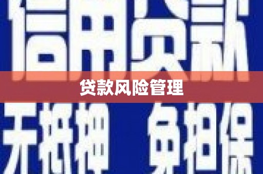 资源贷款风险管理