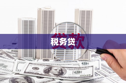 资源税务贷
