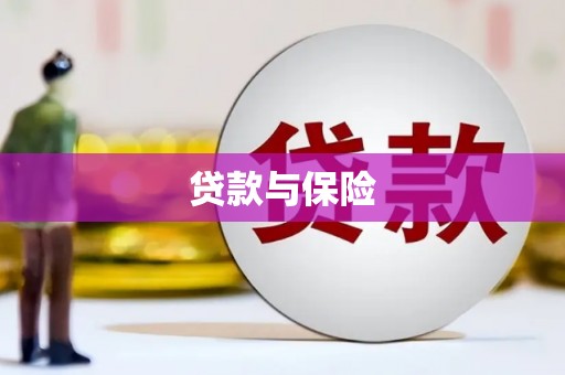 资源贷款与保险