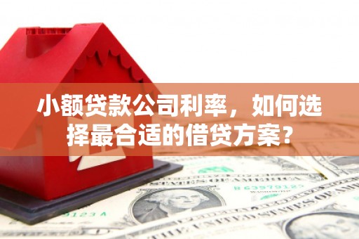 资源小额贷款公司利率，如何选择最合适的借贷方案？