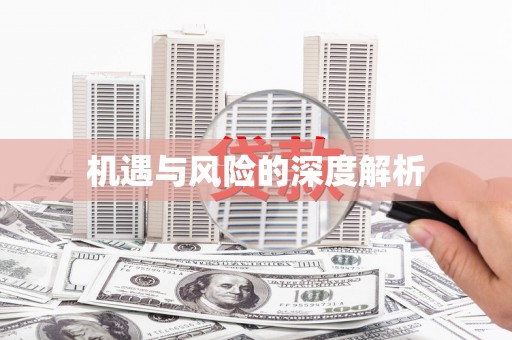 资源机遇与风险的深度解析