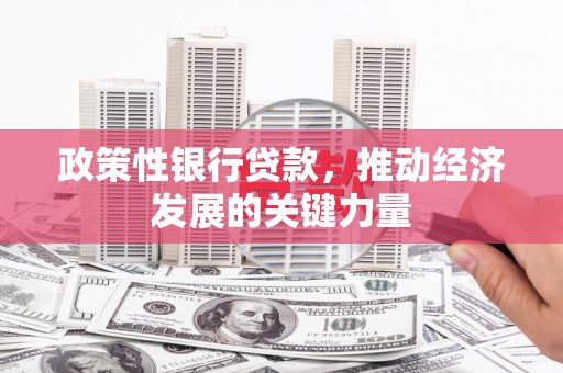 资源政策性银行贷款，推动经济发展的关键力量