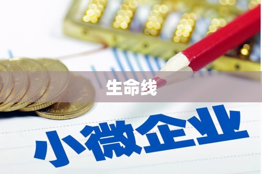 资源生命线