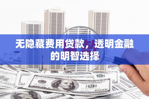 资源无隐藏费用贷款，透明金融的明智选择