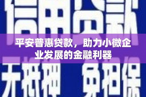 资源平安普惠贷款，助力小微企业发展的金融利器