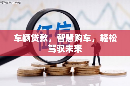 资源车辆贷款，智慧购车，轻松驾驭未来