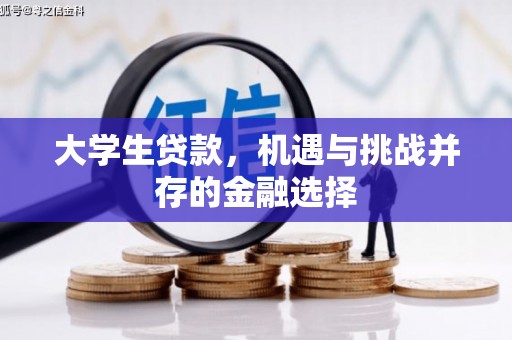 资源大学生贷款，机遇与挑战并存的金融选择