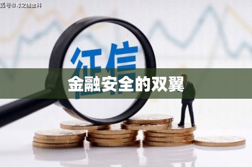资源金融安全的双翼