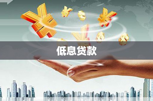 资源低息贷款