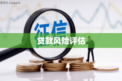 资源贷款风险评估