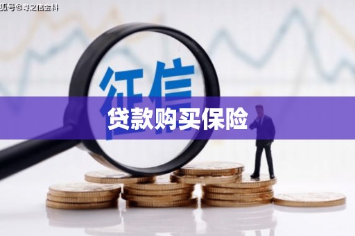 资源贷款购买保险