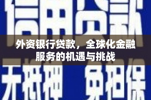 资源外资银行贷款，全球化金融服务的机遇与挑战