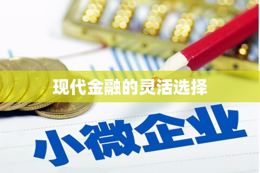 资源现代金融的灵活选择