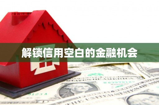 资源解锁信用空白的金融机会
