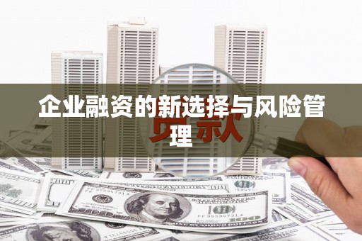 资源企业融资的新选择与风险管理