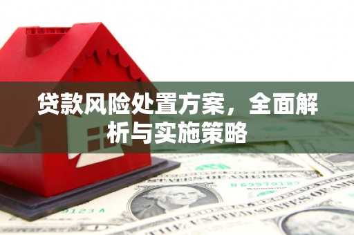 资源贷款风险处置方案，全面解析与实施策略