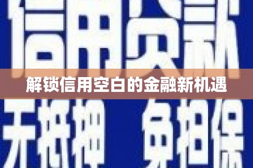 资源解锁信用空白的金融新机遇