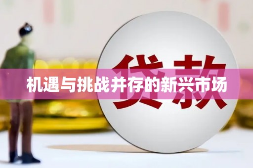 资源机遇与挑战并存的新兴市场