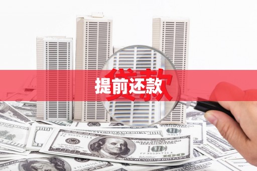资源提前还款