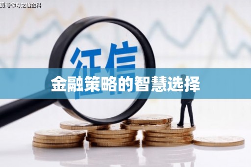 资源金融策略的智慧选择