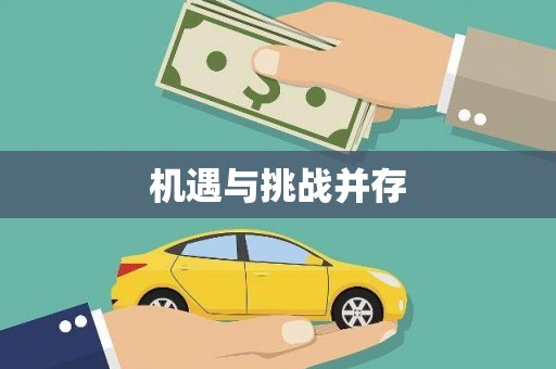 资源机遇与挑战并存