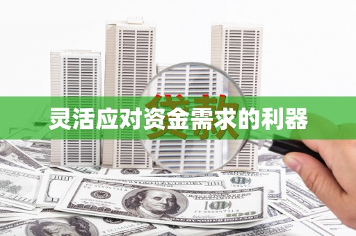 资源灵活应对资金需求的利器