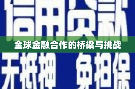资源全球金融合作的桥梁与挑战