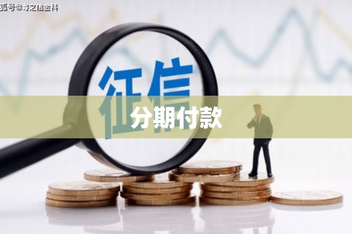 资源分期付款