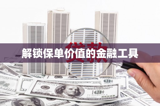 资源解锁保单价值的金融工具