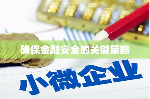 资源确保金融安全的关键策略