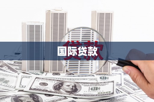 资源国际贷款